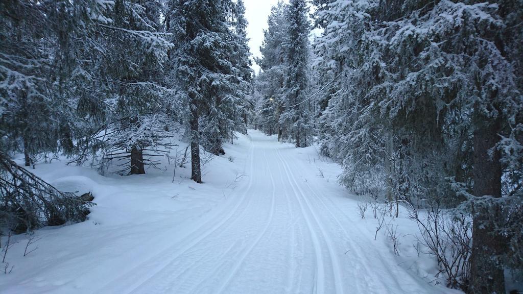 Lapland Snow Cabin Masugnsbyn Exterior foto
